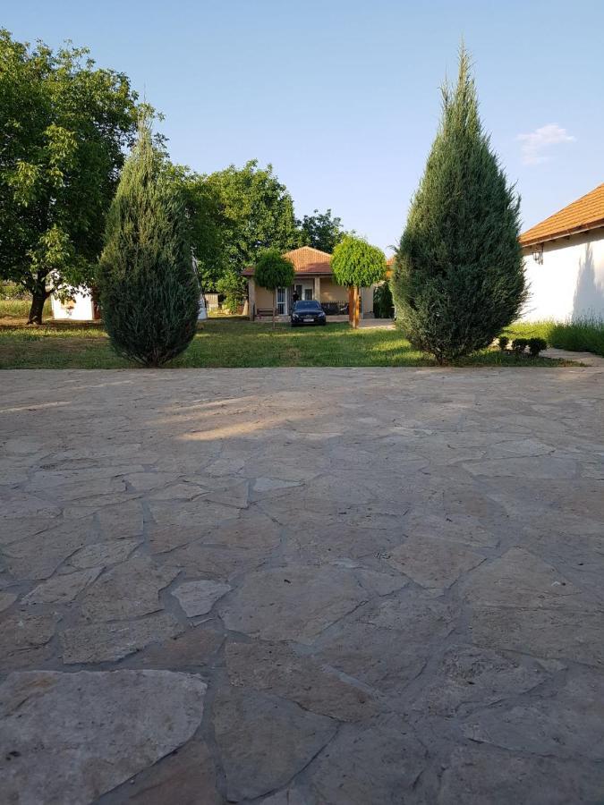 Vikendica Lesic Βίλα Cortanovci Εξωτερικό φωτογραφία